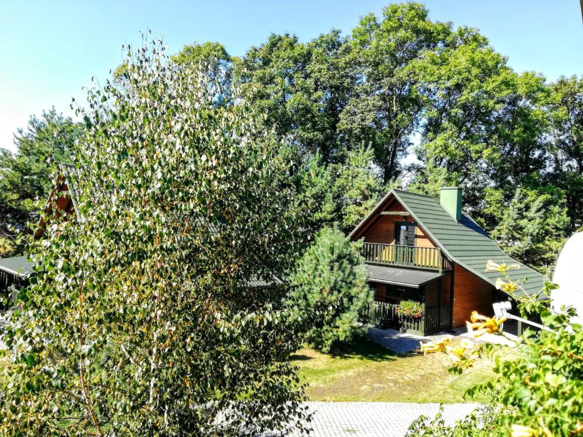Sosnowa Oaza Villa บารานูฟซานโดมิเอสกี ภายนอก รูปภาพ